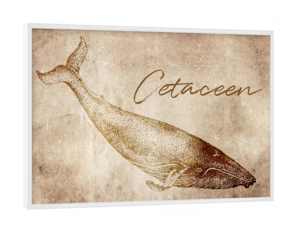 Poster mit weißem Rahmen "Wal vintage" artboxONE - Tiere
