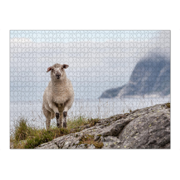 Puzzle Ravensburger "Schaf in Norwegen" artboxONE - Natur,Tiere - Norwegische küste,Skandinavien,Felsen,Natur,Naturfoto - Bild norwegische küste