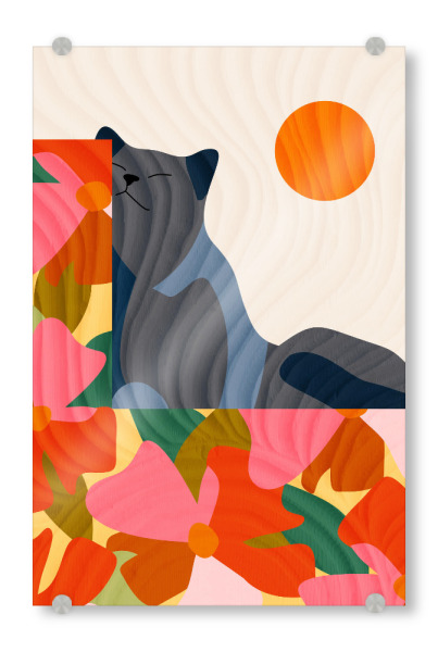 Acrylglasbild "Sonnige Gartenkatze" artboxONE - Floral,Tiere