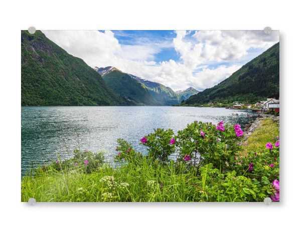 Acrylglasbild "Fjærlandsfjord mit Blumen" artboxONE - Natur,Reise,Reise / Strand und Meer,Reise / Länder