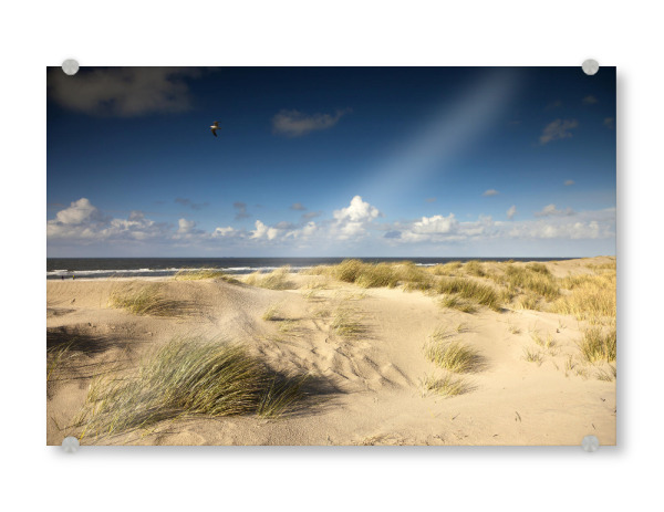 Acrylglasbild "Spiekeroog" artboxONE - Reise / Strand und Meer - Ostfriesische insel,Spiekeroog,Düne,Strand,Niedersachsen,Deutschland