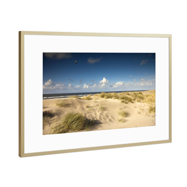 Poster mit Rahmen Gold "Spiekeroog" artboxONE - Reise / Strand und Meer - Ostfriesische insel,Spiekeroog,Düne,Strand,Niedersachsen,Deutschland