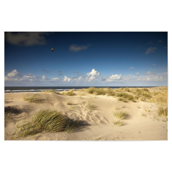 Poster "Spiekeroog" artboxONE - Reise / Strand und Meer - Ostfriesische insel,Spiekeroog,Düne,Strand,Niedersachsen,Deutschland