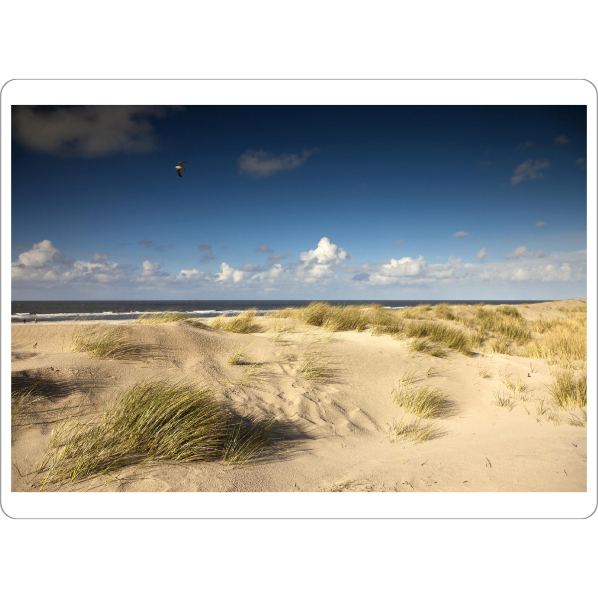 Tischset "Spiekeroog" artboxONE - Reise / Strand und Meer - Ostfriesische insel,Spiekeroog,Düne,Strand,Niedersachsen,Deutschland