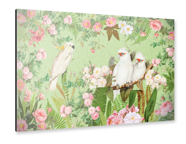 Alu-Dibond "Cockatoos In A Beautiful Garden" 30x20 cm artboxONE