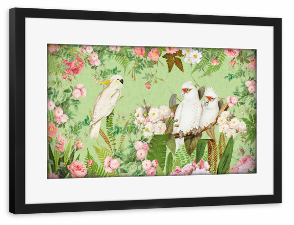 Poster mit Rahmen schwarz "Cockatoos In A Beautiful Garden" artboxONE - Natur,Reise,Floral,Tiere,Für Mama