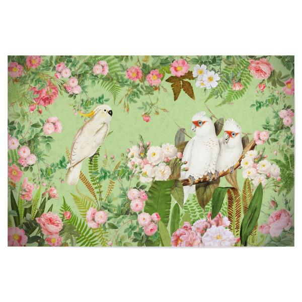 Poster 30x20 cm "Cockatoos In A Beautiful Garden" artboxONE - Natur,Reise,Floral,Tiere,Für Mama