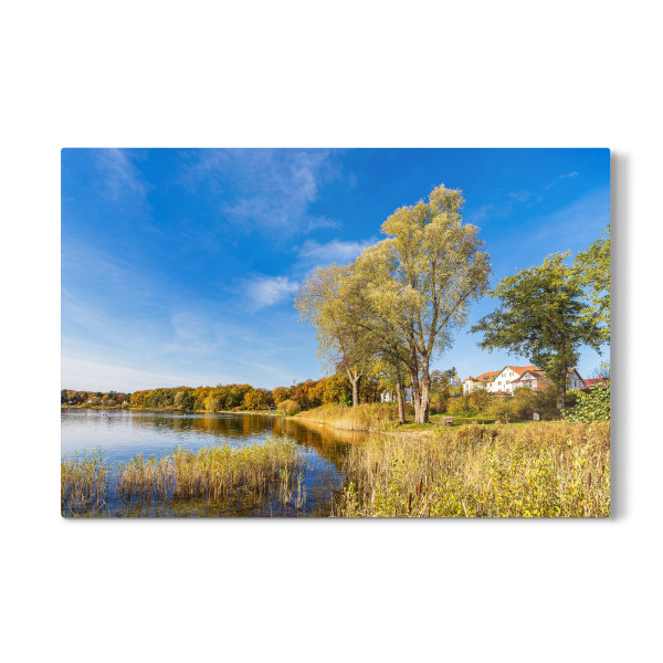 Galerie-Print "Bäume am See in Plau am See" 30x20 cm artboxONE