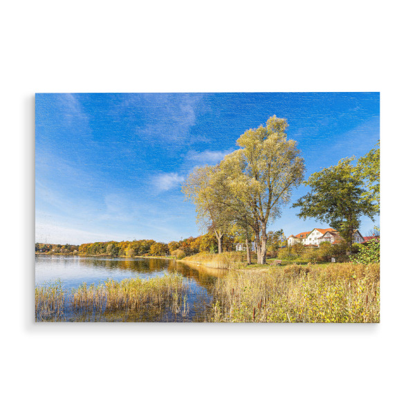 Holzbild "Bäume am See in Plau am See" artboxONE - Natur,Reise,Architektur