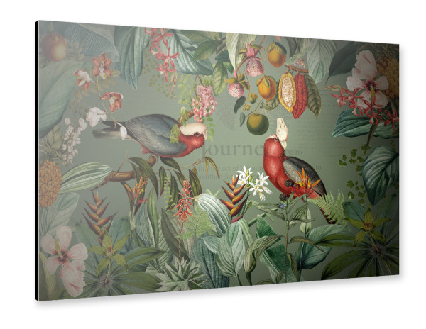 Alu-Dibond "Mystic Tropical Birds Jungle" 30x20 cm artboxONE