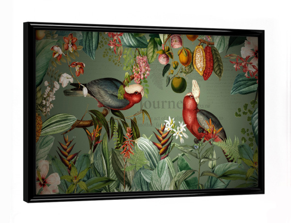Poster mit schwarzem Rahmen "Mystic Tropical Birds Jungle" artboxONE - Natur,Floral,Tiere,Für Mama