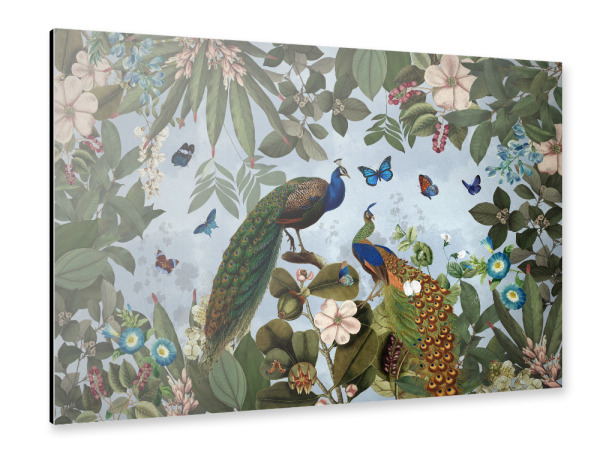 Alu-Dibond "Exotic Peacock Flower Wild Jungle" 75x50 cm artboxONE