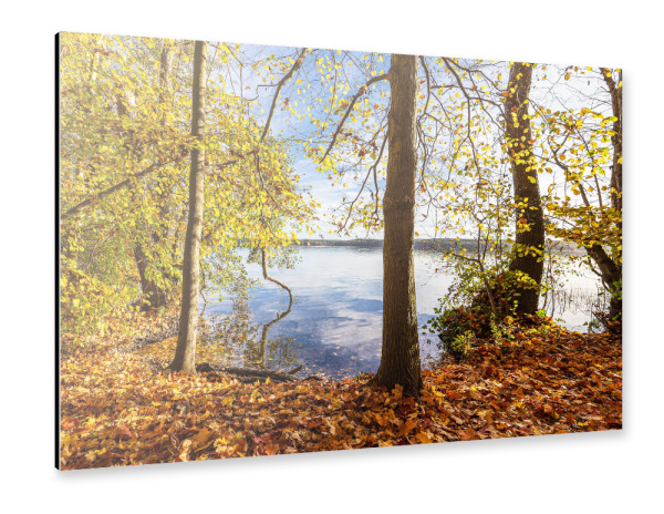 Alu-Dibond "See und herbstliche Bäume" 30x20 cm artboxONE
