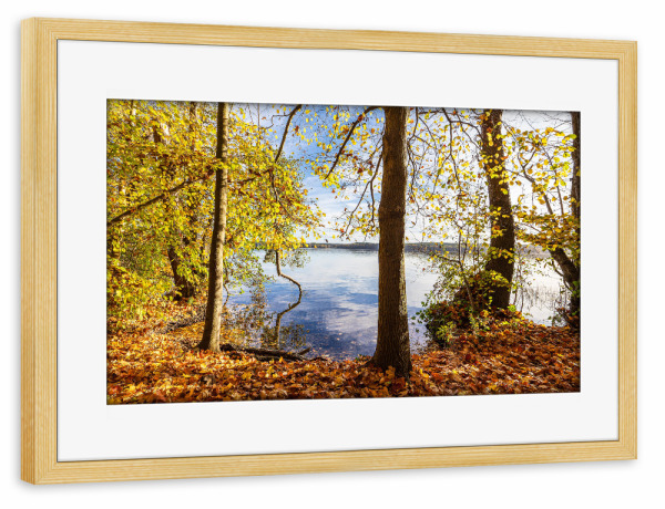Poster mit Rahmen kiefer "See und herbstliche Bäume" artboxONE - Natur,Reise