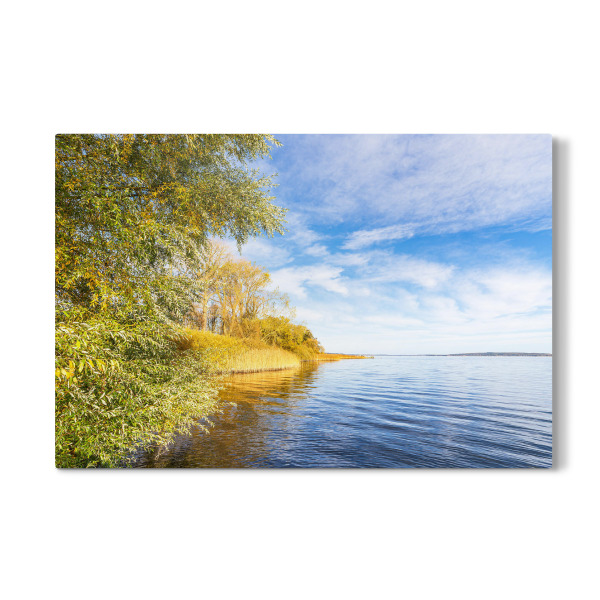Galerie-Print "Plauer See mit Bäumen" 30x20 cm artboxONE