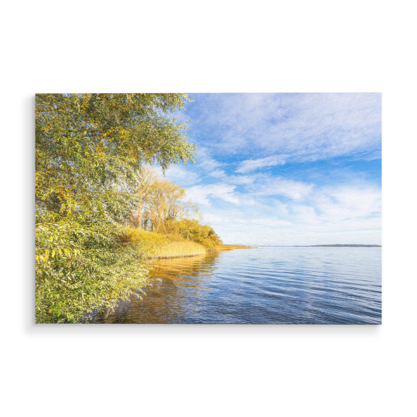 Holzbild "Plauer See mit Bäumen" artboxONE - Natur,Reise