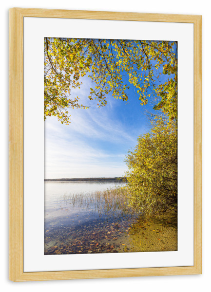 Poster mit Rahmen kiefer "See und Bäume im Herbst" artboxONE - Natur,Reise
