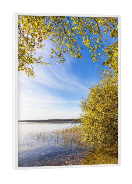 Poster mit weißem Rahmen "See und Bäume im Herbst" artboxONE - Natur,Reise