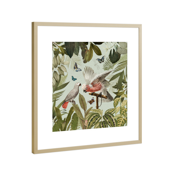 Poster mit Rahmen Gold "Tropical Parrots Fight In Jungle" artboxONE - Natur,Reise,Floral,Tiere,Für Mama