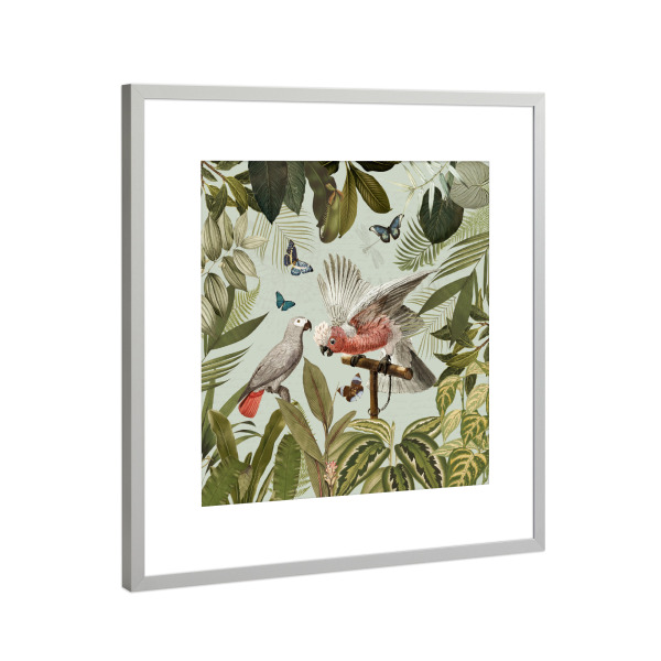 Poster mit Rahmen Silber "Tropical Parrots Fight In Jungle" artboxONE - Natur,Reise,Floral,Tiere,Für Mama