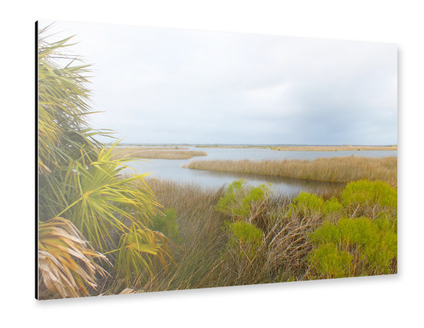 Alu-Dibond "A Florida Landscape" 75x50 cm artboxONE