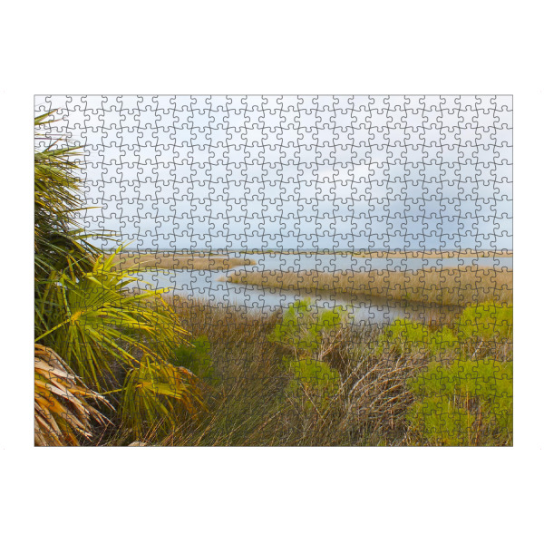Puzzle Ravensburger "A Florida Landscape" artboxONE - Natur,Reise,Reise / Länder