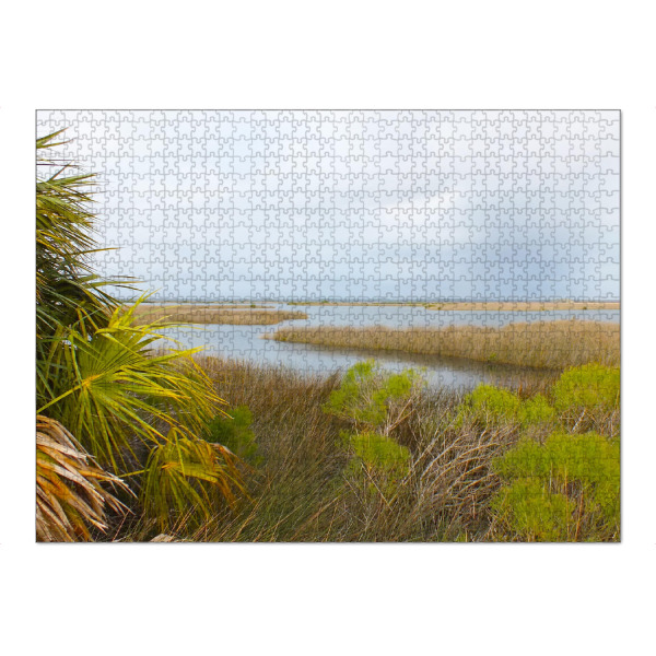 Puzzle Ravensburger "A Florida Landscape" artboxONE - Natur,Reise,Reise / Länder