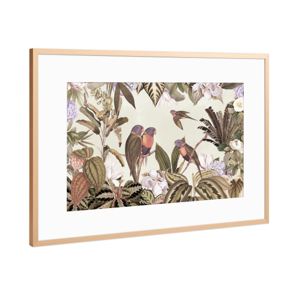 Poster mit Rahmen Kupfer "Bunte Papageien-Tierwelt-Dschungel" artboxONE - Natur,Reise,Floral,Tiere,Für Mama