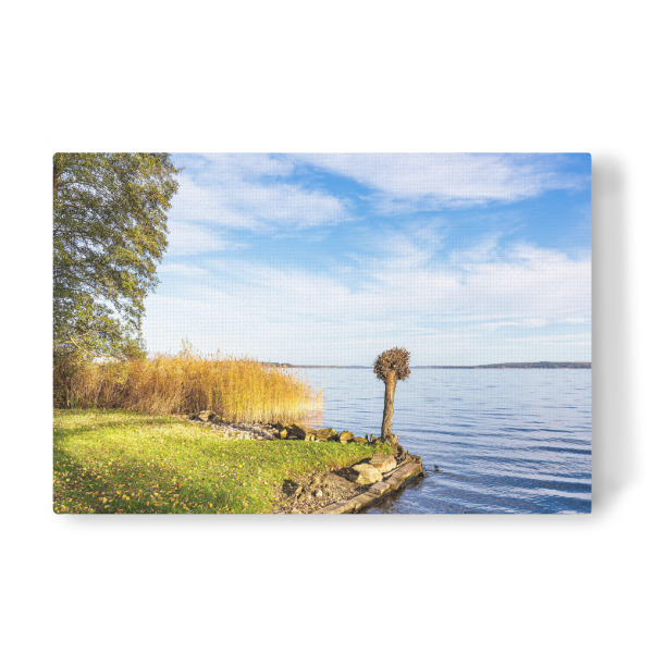 Leinwandbild "Bäume am Plauer See" artboxONE - Natur,Reise