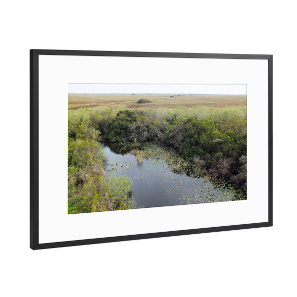 Poster mit Rahmen Schwarz (Metallic) "Everglades Landscape" artboxONE - Natur,Reise,Reise / Länder