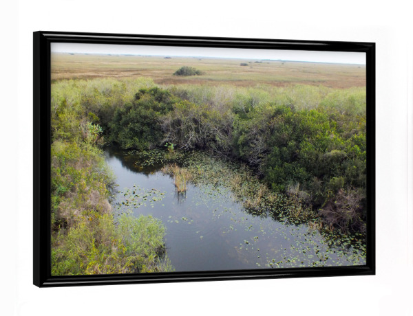 Poster mit schwarzem Rahmen "Everglades Landscape" artboxONE - Natur,Reise,Reise / Länder