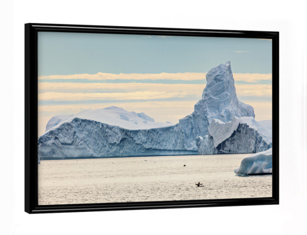 Poster mit schwarzem Rahmen "Eisberge der Antarktis" artboxONE - Natur,Reise