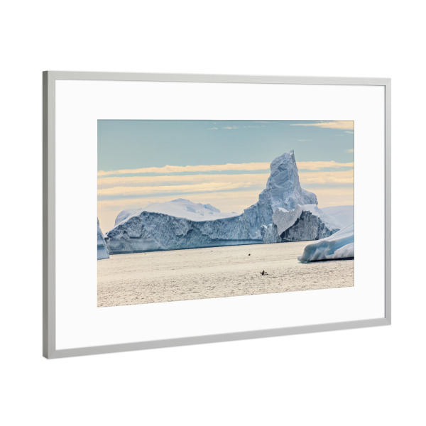 Poster mit Rahmen Silber "Eisberge der Antarktis" artboxONE - Natur,Reise