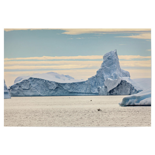 Poster "Eisberge der Antarktis" artboxONE - Natur,Reise