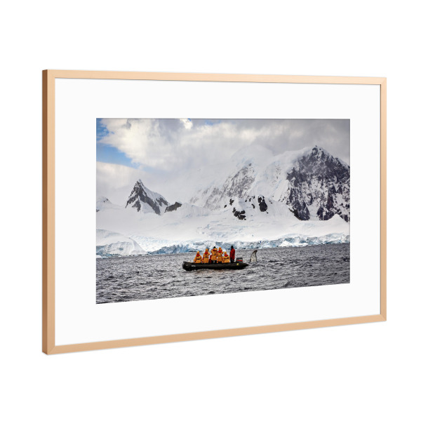 Poster mit Rahmen Kupfer "Walbeobachtung in der Antarktis" artboxONE - Natur,Reise