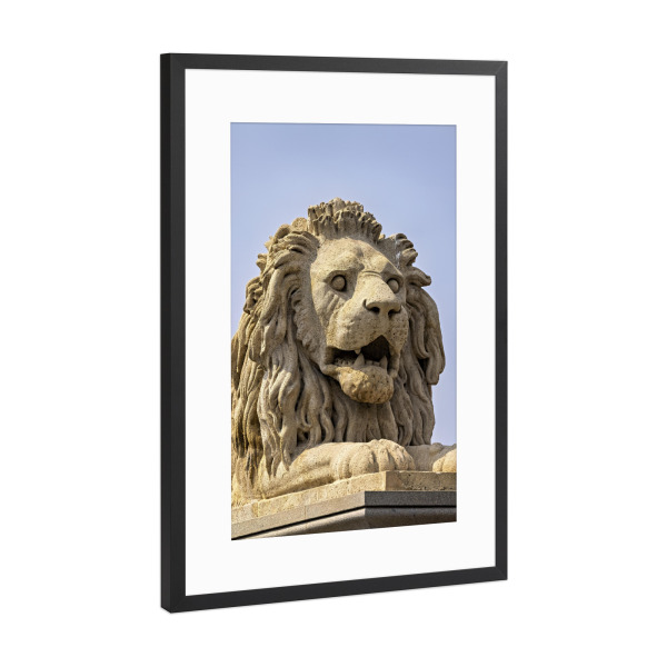Poster mit Rahmen Schwarz (Metallic) "Löwen der Kettenbrück" artboxONE - Architektur - Budapest,Kettenbrücke,Löwe,Statue,Donau,Skulptur,Brücke,Ungarn