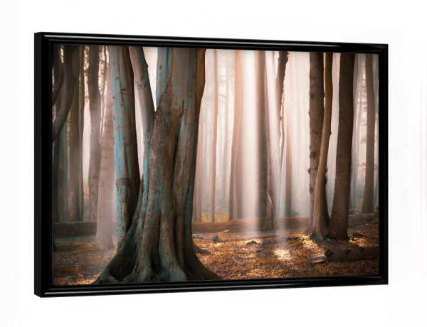 Poster mit schwarzem Rahmen "Herbst im Gespensterwald" artboxONE - Natur - Wald,Gespensterwald,Nebel,Rostock,Landschaft,Nienhagen,Bäume