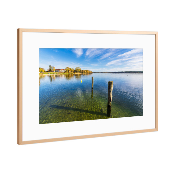 Poster mit Rahmen Kupfer "Dalben am Plauer See" artboxONE - Natur,Reise