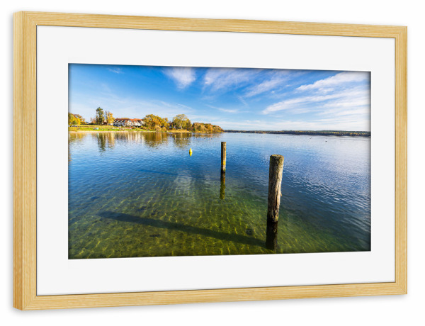 Poster mit Rahmen kiefer "Dalben am Plauer See" artboxONE - Natur,Reise