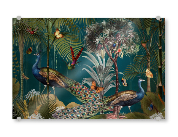 Acrylglasbild "Midnight Vintage Exotic Peacocks" artboxONE - Natur,Reise,Floral,Tiere,Für Mama
