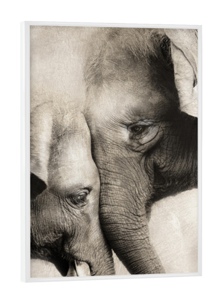 Poster mit weißem Rahmen "Viel Liebe" artboxONE - Natur,Tiere,Liebe - Elefant,Baby,Mutter,Liebe,Tiere