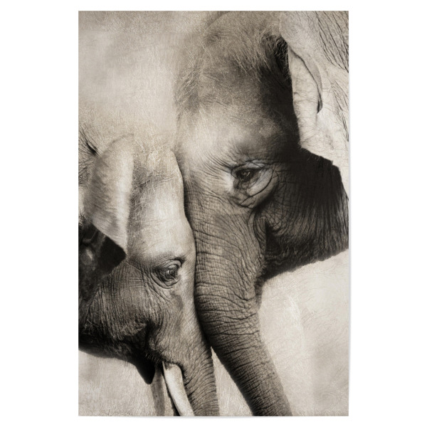 Poster 30x20 cm "Viel Liebe" artboxONE - Natur,Tiere,Liebe - Elefant,Baby,Mutter,Liebe,Tiere