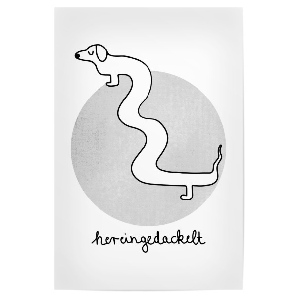 Poster 30x20 cm "Hereingedackelt - Grau" artboxONE - Typografie,Tiere,Lustig
