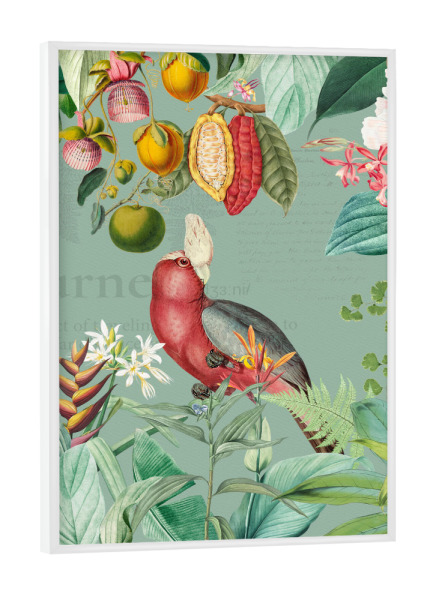 Poster mit weißem Rahmen "Vintage Exotic Birds Jungle" artboxONE - Natur,Floral,Tiere,Für Mama