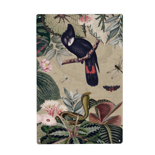 Metall Poster "Exotic Black Cockatoo Jungle" artboxONE - Natur,Reise,Floral,Tiere