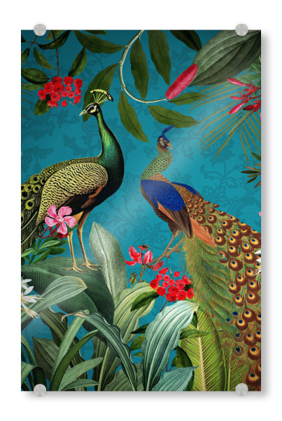 Acrylglasbild "Exotischer Dschungel mit Pfauen" artboxONE - Natur,Reise,Floral,Tiere