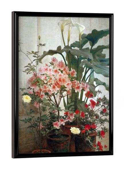 Poster mit schwarzem Rahmen "Seite eines Gewächshauses" artboxONE - Floral - Blumen,Floral