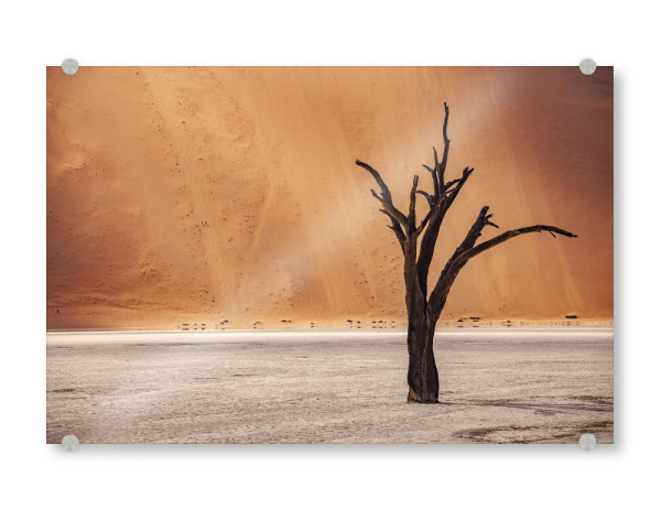 Acrylglasbild "Deadvlei Namibia" artboxONE - Natur,Reise / Afrika - Wüste,Deadvlei,Namib naukluft park,Namibia,Afrika