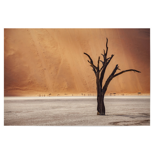 Poster "Deadvlei Namibia" artboxONE - Natur,Reise / Afrika - Wüste,Deadvlei,Namib naukluft park,Namibia,Afrika