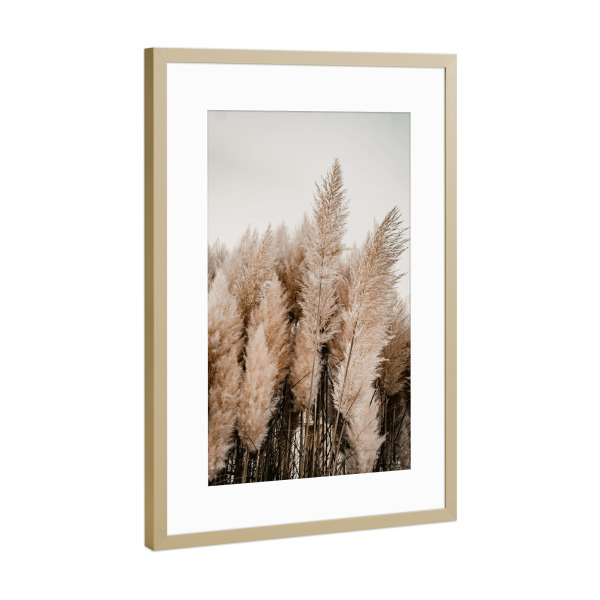 Poster mit Rahmen Gold "Pampas gras - boho" artboxONE - Natur,Floral - Pampas,Gras,Strandgras,Strand,Urlaub,Reise,Boho,Bohemian,Floral,Natur,Pflanzen